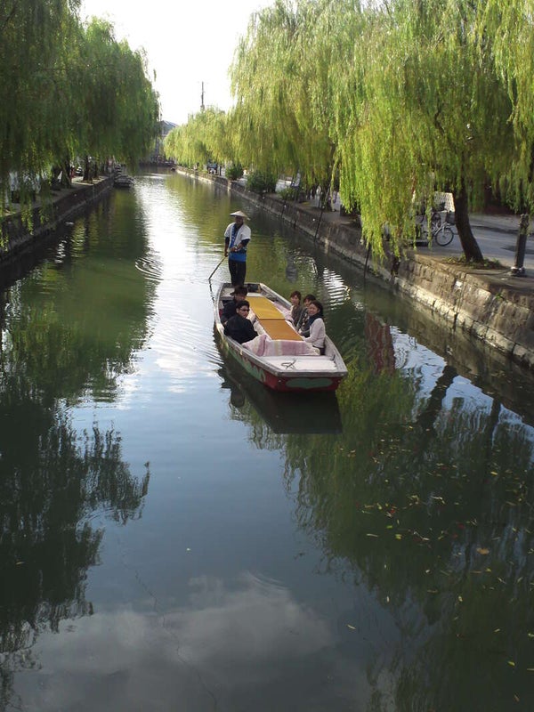 【下関・新下関発】樹齢300年&県天然記念物・中山大藤と柳川川下りと鰻ミニせいろ御膳の昼食 日帰り2